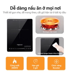 Bếp từ đơn FUJIHOME IC1391 2000W