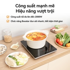 Bếp từ đơn FUJIHOME IC1391 2000W