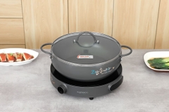 Bếp từ đơn Hawonkoo CEH-101-I-GR 2000W