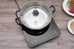 Bếp từ đơn BlueStone ICB-6729 2000W