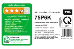 Google Tivi TCL AI 4K 75 inch 75P6K