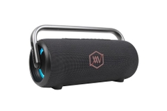 Loa Bluetooth Alpha Works AW-IKON20