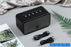 Loa Bluetooth Alpha Works AW-W39