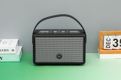 Loa Bluetooth Alpha Works AW-W89