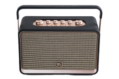 Loa Bluetooth Alpha Works AW-W99