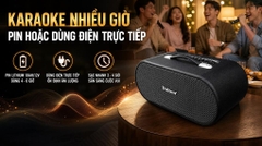 Loa karaoke xách tay Dalton Apollo LS26 450W