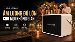 Loa karaoke xách tay Easy & Perfect EP-Volcano 200W