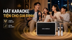 Loa karaoke xách tay Easy & Perfect EP-Volcano 200W
