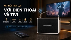 Loa karaoke xách tay Easy & Perfect EP-Volcano 200W