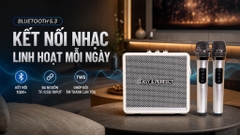 Loa karaoke xách tay Easy & Perfect EP-Windy 18W