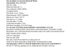 Loa karaoke xách tay Easy & Perfect EP-Windy 18W