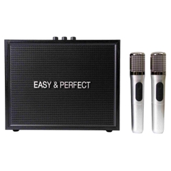 Loa karaoke xách tay Easy & Perfect Strenght 20W