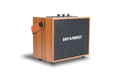 Loa karaoke xách tay Easy & Perfect Zypher 5W Nâu