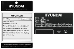 Loa Bluetooth karaoke Hyundai H9S 300W