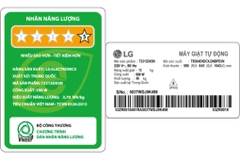 Máy giặt LG AI DD Inverter 13 kg T2313DX5N