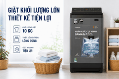Máy giặt Panasonic Inverter 10 kg NA-FJ100X1DV