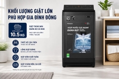 Máy giặt Panasonic Inverter 10.5 kg NA-FJ105X1BV