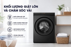 Máy giặt Panasonic Inverter 12 kg NA-24VDG1BVT