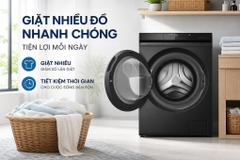 Máy giặt Panasonic Inverter 12 kg NA-24VDW1BVT