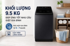 Máy giặt Samsung Ecobubble Inverter 9.5 kg WA40F95E1CSV