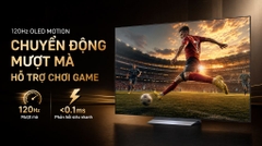 Smart Tivi OLED LG AI 4K 77 inch OLED77C6PSA