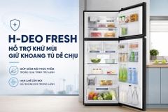 Tủ lạnh Aqua Inverter 455 lít AQR-TA518FA(WSL)