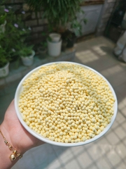 Trân châu SẤY KHÔ Hương HOÀNG KIM Long Phú gói 300gr - Size mini (hạt tiêu) 1.2li - Không có vị ngọt