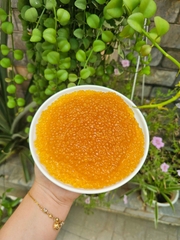 Trân châu SẤY KHÔ Hương HOÀNG KIM Long Phú gói 300gr - Size mini (hạt tiêu) 1.2li - Không có vị ngọt
