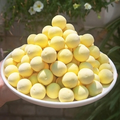 Trân Châu Độc Nhãn Long Size Khổng Lồ Thượng Hạng có sẵn vị ngọt Long Phú gói 1kg - Topping