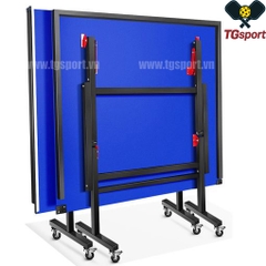 Bàn bóng bàn PT02