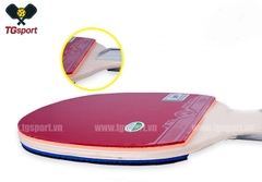 Vợt Bóng Bàn 729 – 2010