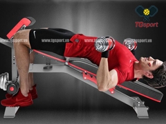 Ghế tập tạ đa năng DDS-1205
