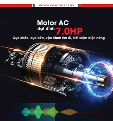 Máy chạy bộ phòng Gym Sakura V9