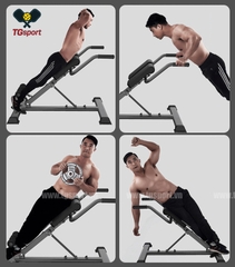 Ghế tập lưng bụng M-001