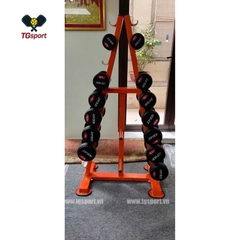 Giá để tạ tay phòng tập FX102