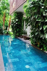 [Flamingo Dai Lai] Villa HOF.05A 3룸 (프라이빗 풀 & Forest In The Sky)