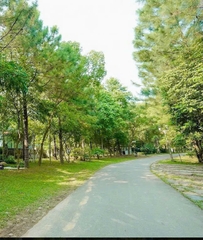 [FLAMINGO ĐẠI LẢI] CF11 BÁCH THANH VILLA – 3ROOMS