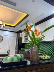 [FLAMINGO ĐẠI LẢI] CF11 BÁCH THANH VILLA – 3ROOMS