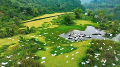 🏞️ NB7 [닌빈]: 호아르 또는 바이딘 사원 – 빅동 사원 – 퉁남