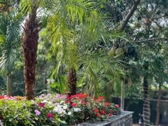 [FLAMINGO ĐẠI LẢI] CF11 BÁCH THANH VILLA – 3ROOMS