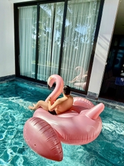 GV3.8 Flamingo Đại Lải – 자연 속 프라이빗 3룸 럭셔리 풀빌라