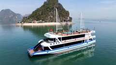 Lacasta Halong Bay Tour 럭셔리 라카스타 하롱베이 크루즈 당일 투어  [왕복 리무진- 입장권- 중식- 가이드 포함)