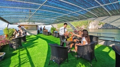 🚢 ALOVA PREMIUM 하롱베이 1일 럭셔리 크루즈