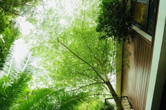 H0.8– 플라밍고 프라이빗 풀빌라 (5베드룸, 넓은 정원 포함)