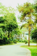 H0.8– 플라밍고 프라이빗 풀빌라 (5베드룸, 넓은 정원 포함)