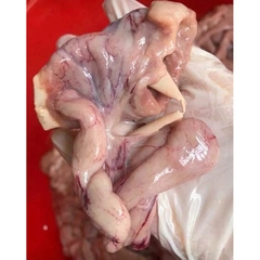 Tràng Gà/Dồi Trường Gà - 1kg