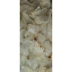 Chân sứa bịch 500gr sứa luôn nước - 1kg