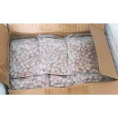 Răng Mực Nhỏ - 1Kg