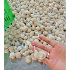 Răng Mực Nhỏ - 1Kg