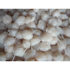 Răng Mực Nhỏ - 1Kg